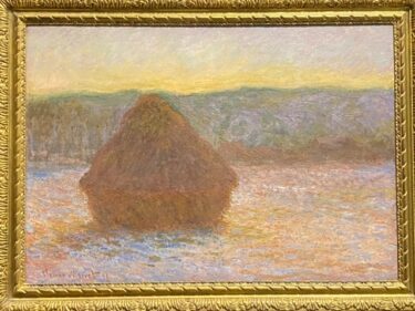 【アメリカ旅行】シカゴ２日目