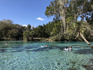 【アメリカ旅行】フロリダ州２日目オカラ＿シルバーグリーンスプリングス